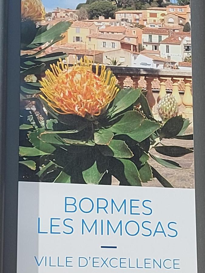 T2-Clim-Fibre-Garage 2,30 X 4,95 X 1,90 A La Faviere Lägenhet Bormes-les-Mimosas Exteriör bild